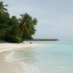 DSDS-Recall-Malediven-News